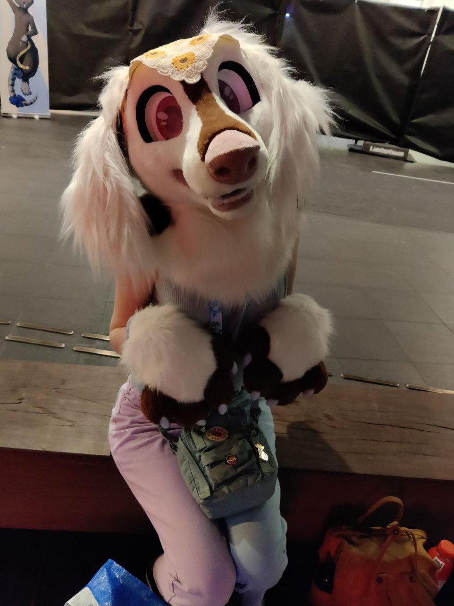 I ended up buying a new suit at NFC. Say hello to this little saluki girl 🩷 still trying to figure out what to name her Maker✂️: @nukecreations #NFC2024 #NordicFuzzCon #saluki #fursuit #NukeCreations