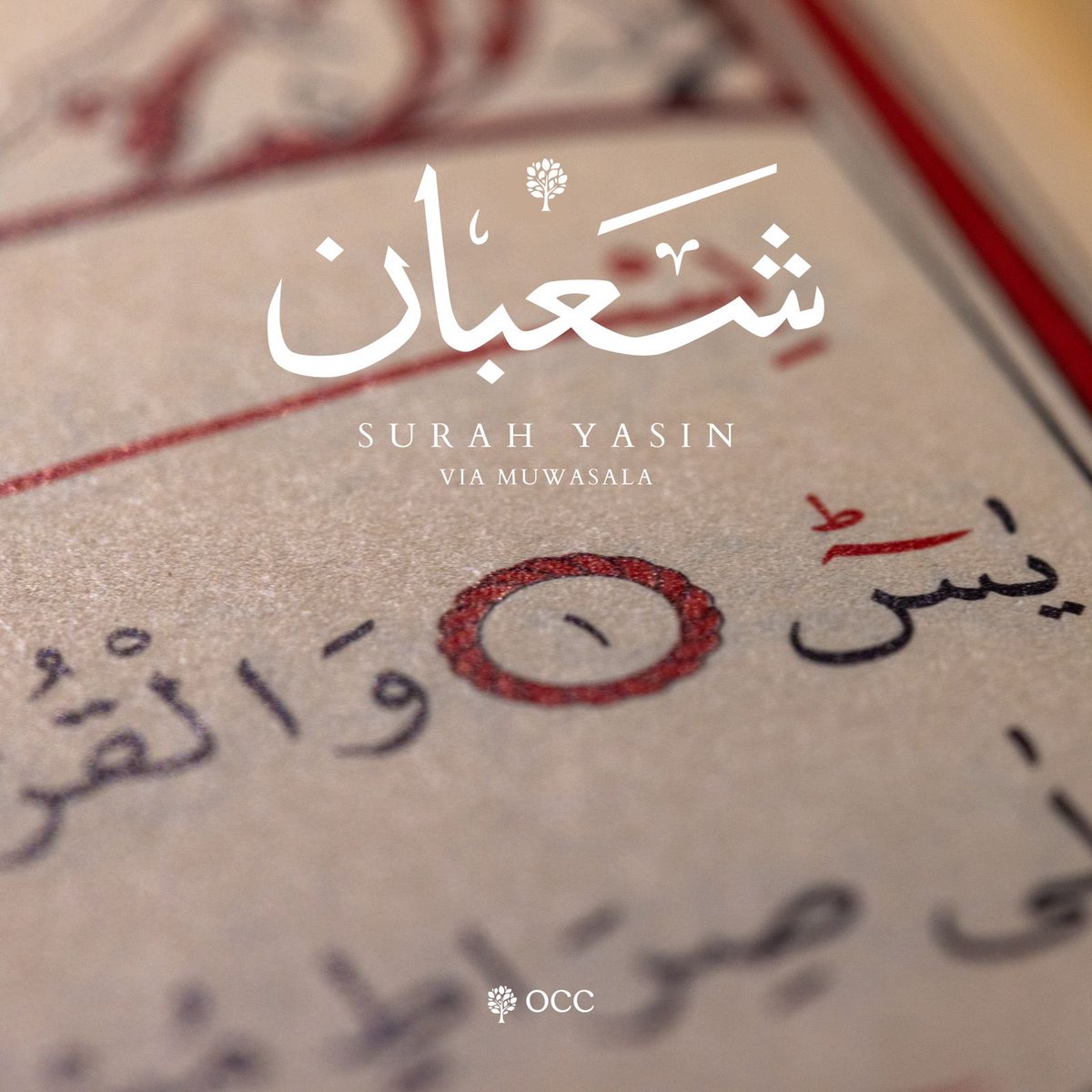 OCC_Luton's tweet photo. NISF SHA’BAN 1445 — شعبان

SURAH YASIN

#shaban #muwasala #15thnight #worship #dhikr #baqi #habibumarbinhafiz #tarim #yemen #habaib #balawi #yasin #practises #tradition #nightofdecree #worship #ibadah #blessings #forgiveness #beauty #gatherings #righteous #divinecaravan1445 https://t.co/mRzX5flGSD