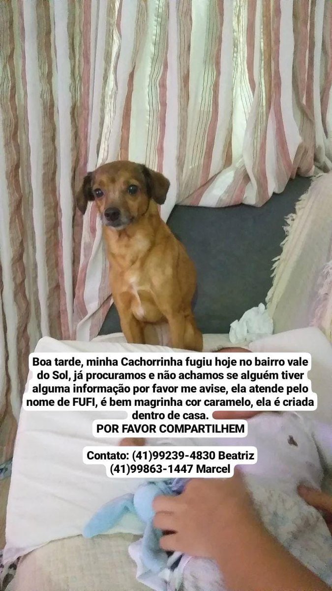 XavascaBionica's tweet photo. https://t.co/XBZAiTC7Gp