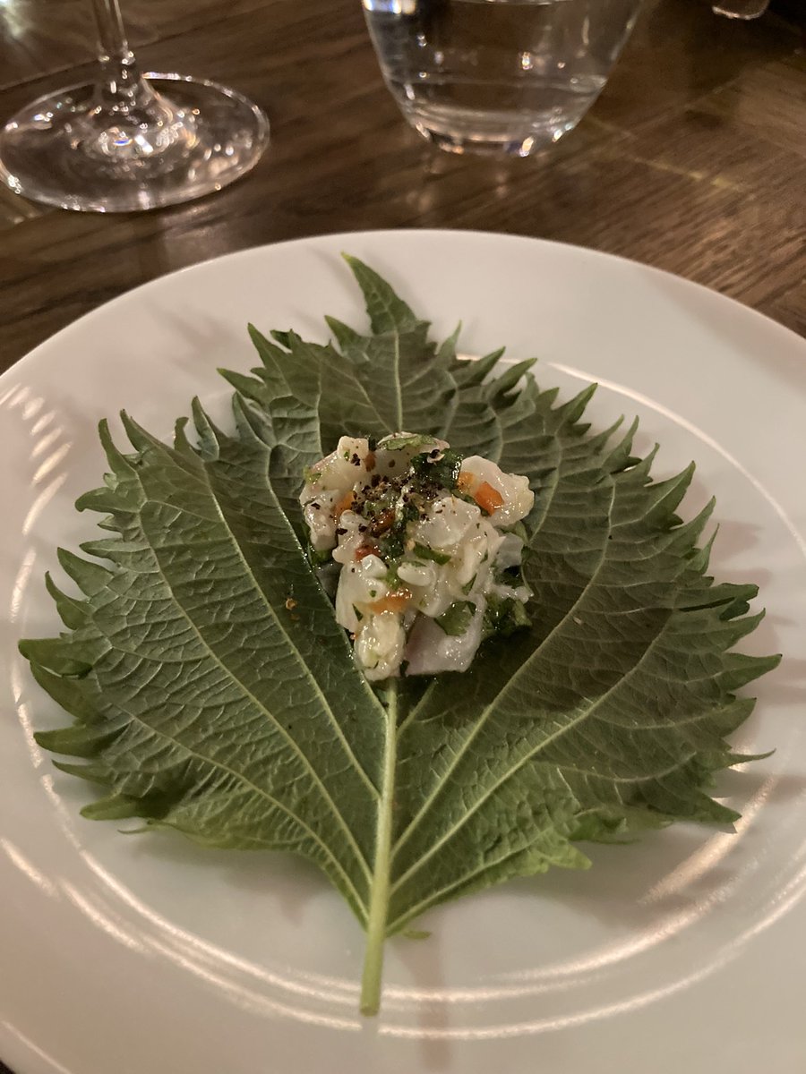 AddiscombeAmbassador tweet media