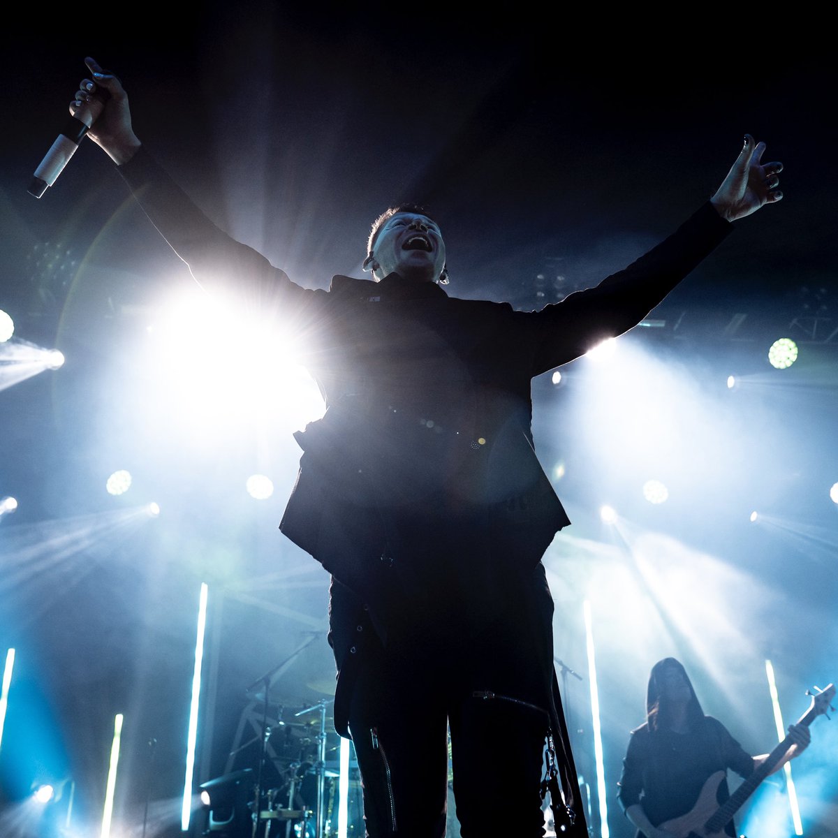 𝕾𝖙𝖊𝖕𝖍 tweet media