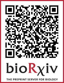 AtitLab's tweet photo. Congrats to Rachel Wyetzner and Ella Segal who did this work as undergrads. Please leave us comments on https://t.co/3pSgYqZqiy https://t.co/SMG8fEqOO7 https://t.co/PfBwDPoNQy