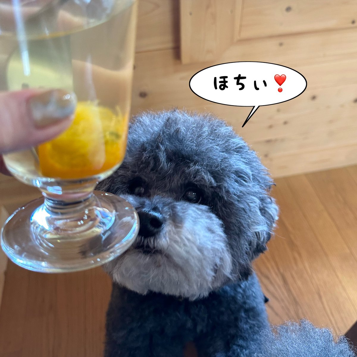 ❤️クーモコ溺愛日記❤️ tweet media