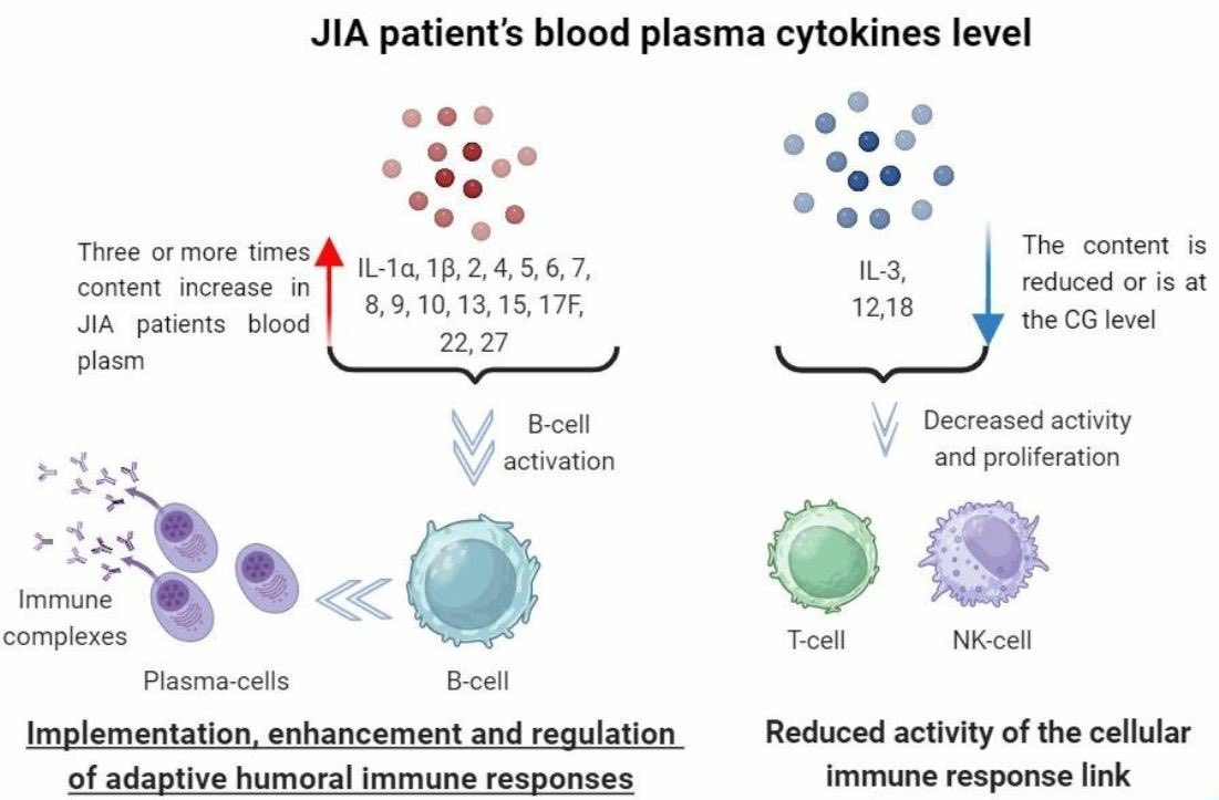 ⬆️ interleukins (IL)-1α, 1β, 2, 4, 5, 6, 7, 8, 9, 10, 13, 15, 17F, 22, and 27 and ⬇️ IL-3 levels are seen in patients with JIA, suggesting that a combination therapy aimed at inhibiting both nonspecific and activating B-cells ILs would be more effective

🔗doi.org/10.3390/biomed…