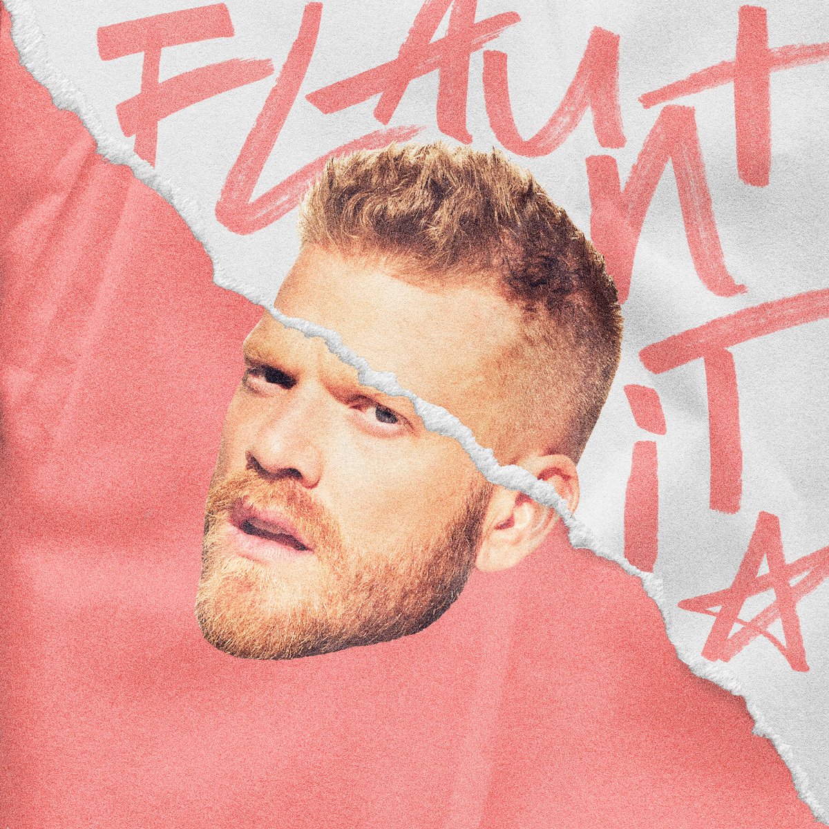 if you got it, FLAUNT IT!!!!!! 💥 OUT FRIDAY MARCH 1ST stem.ffm.to/FLAUNTIT