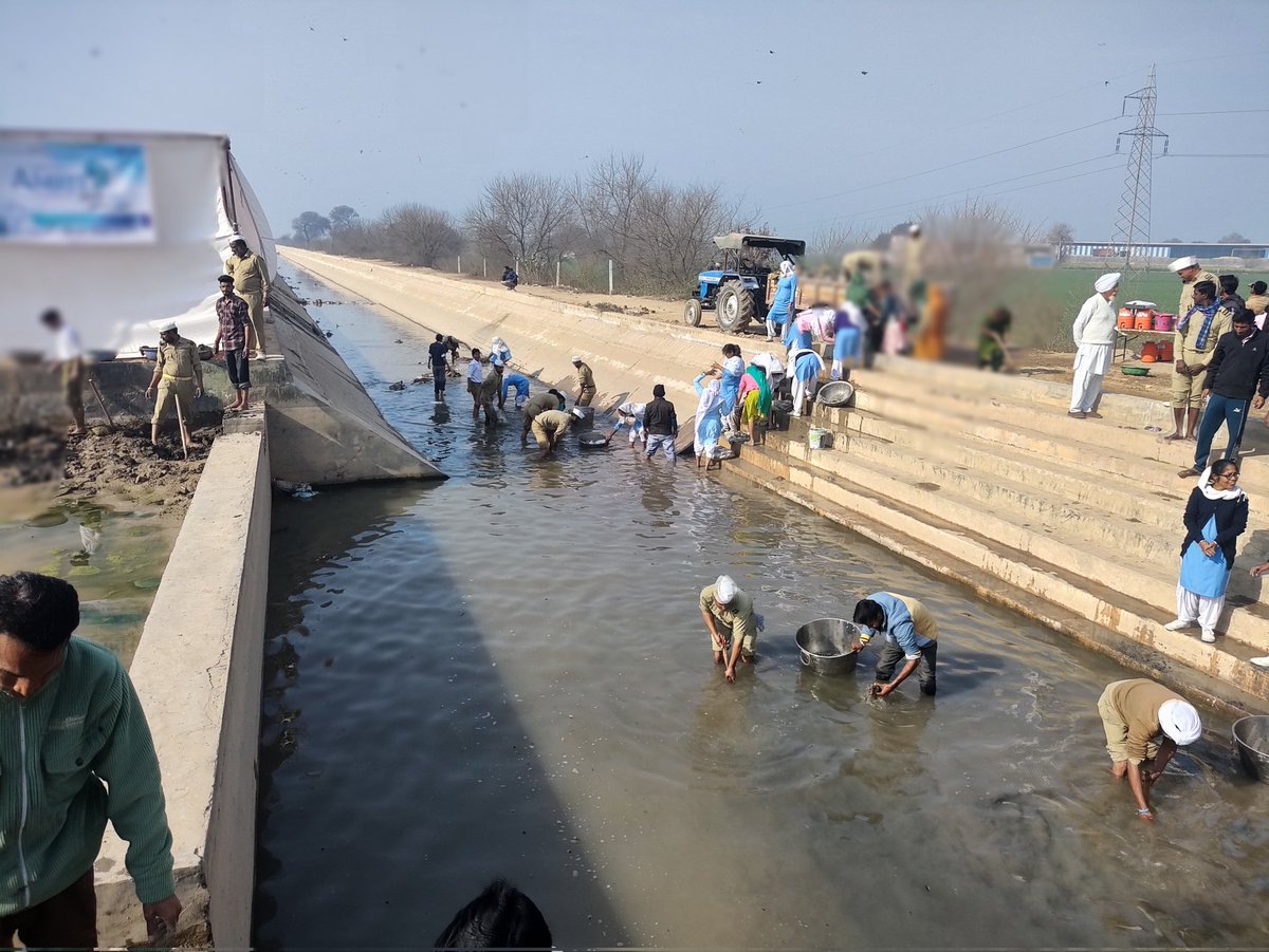 #projectamrit  'swach jal swach mann' 

Lets contribute towards a cleaner 
12 PBN nahar Pilibanga
#Swachhjalswachhman
#projectamrit
#servicewithhumility
#santnirankaricharitablefoundation
#santnirankarimission
#pilibanga #yellowcity