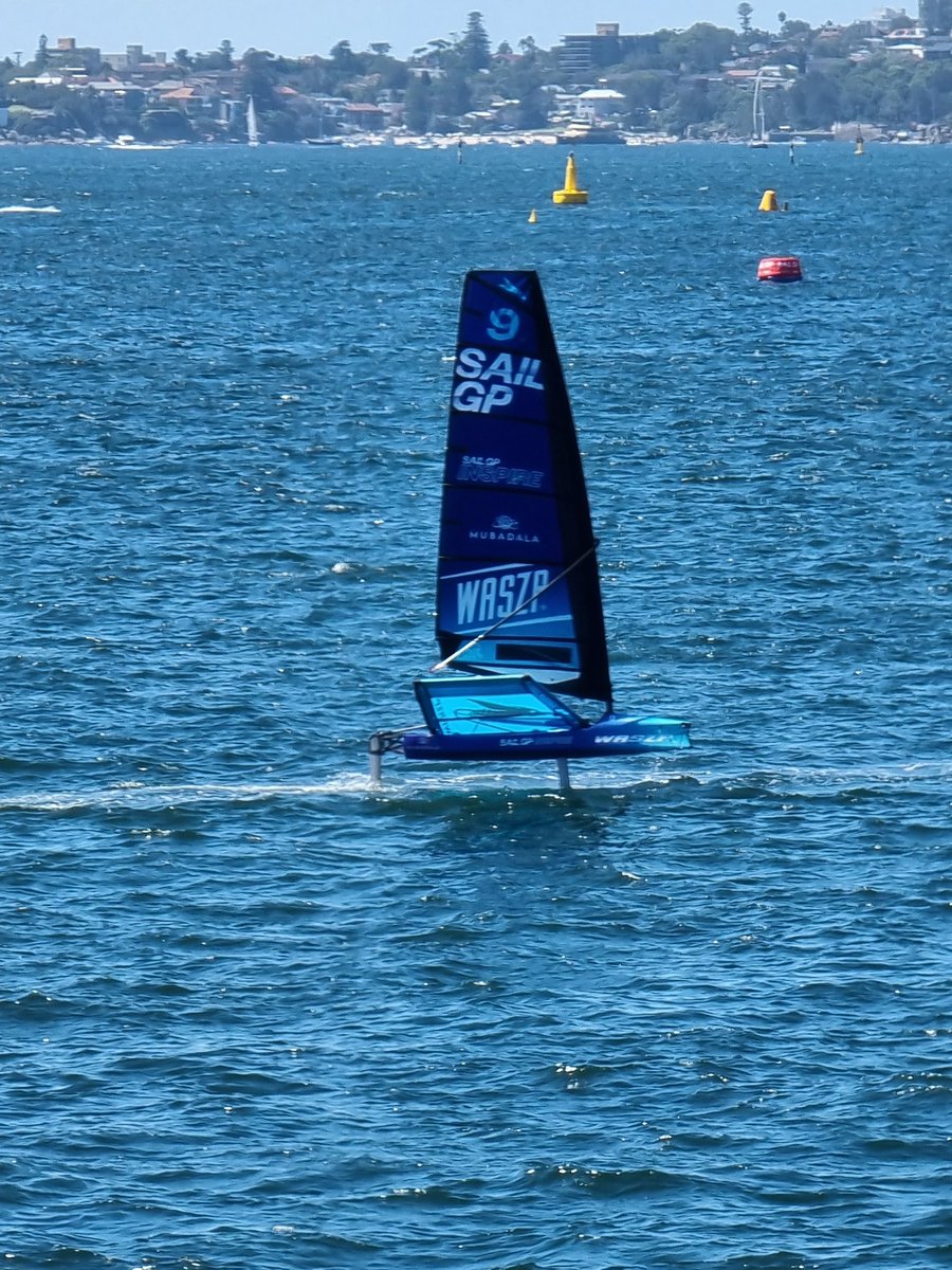 Reminds me of my sabot days. #wasps #SailGP