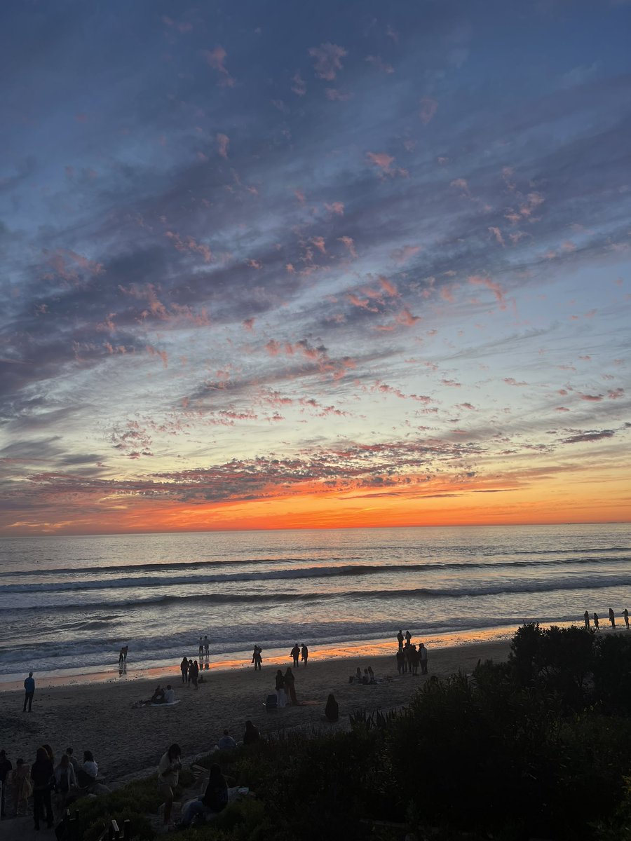 ThePinkPlumbob 💓 tweet media