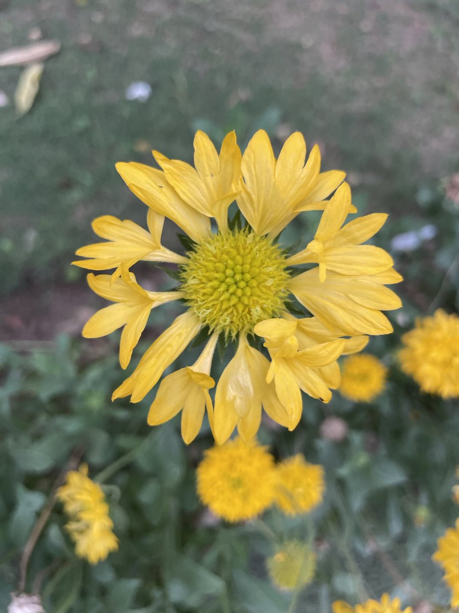 If you were able to believe in Santa Claus for like 8 years, you can believe in yourself. 

You got this.