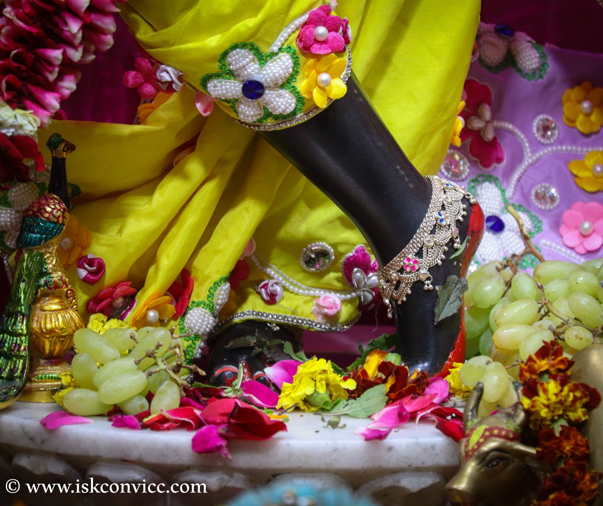 iskconvicc's tweet photo. Śrī Śrī Radha Gopal Darshan - 25/2/2024 @iskconvicc
#radhagopal #aajkedarshan #iskconvicc #iskconvaranasi #nitaigauranga #lotusfeet #radheshayam #blissfulday #sundaymornings #spiritual #iskcondarshan #iskconworld #prabhupada #yellowandpink https://t.co/MidSvlW7Jf