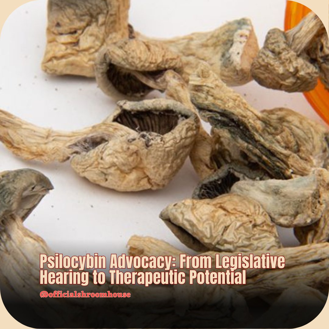Former NYC firefighter finds headache relief with psilocybin mushrooms. NJ lawmakers explore bill for clinical use, decriminalization amid growing support. #PsilocybinTherapy #MentalHealth