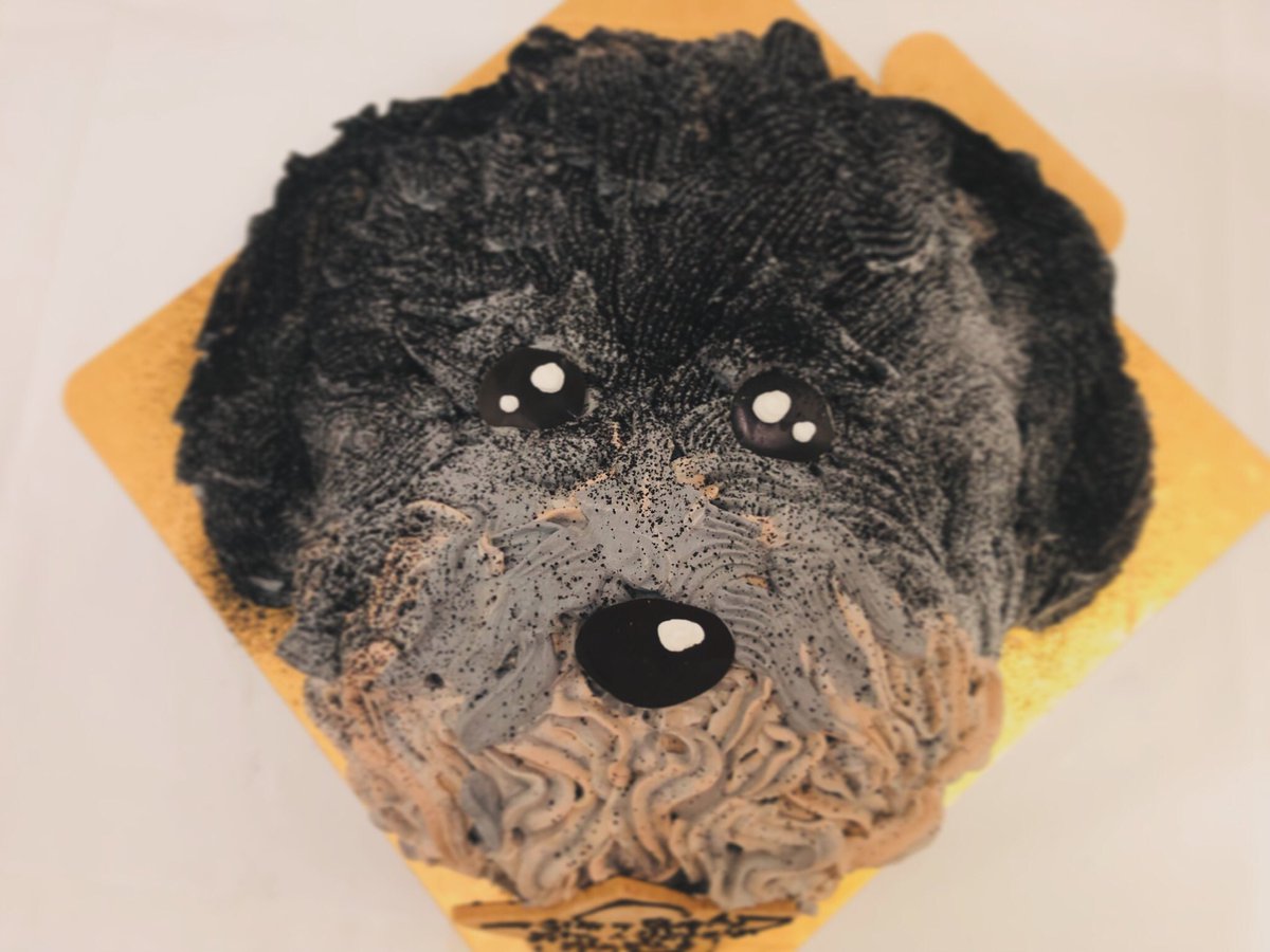 coco_color_1313's tweet photo. 動物ケーキ シリーズ
愛犬立体ケーキ💕
#愛犬 #3Dcake #こころいろ
#バースデーケーキ #北斗市 https://t.co/PJWGhY6QCC