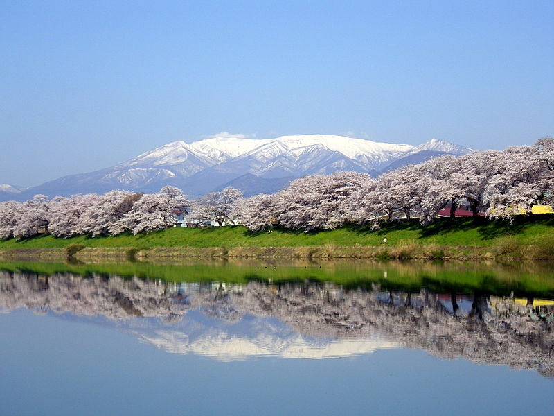 MagnificentSri's tweet photo. Enjoying the Cherry Blossom in Sendai, Japan https://t.co/LSKTpzvnQS https://t.co/piowNVrrgp