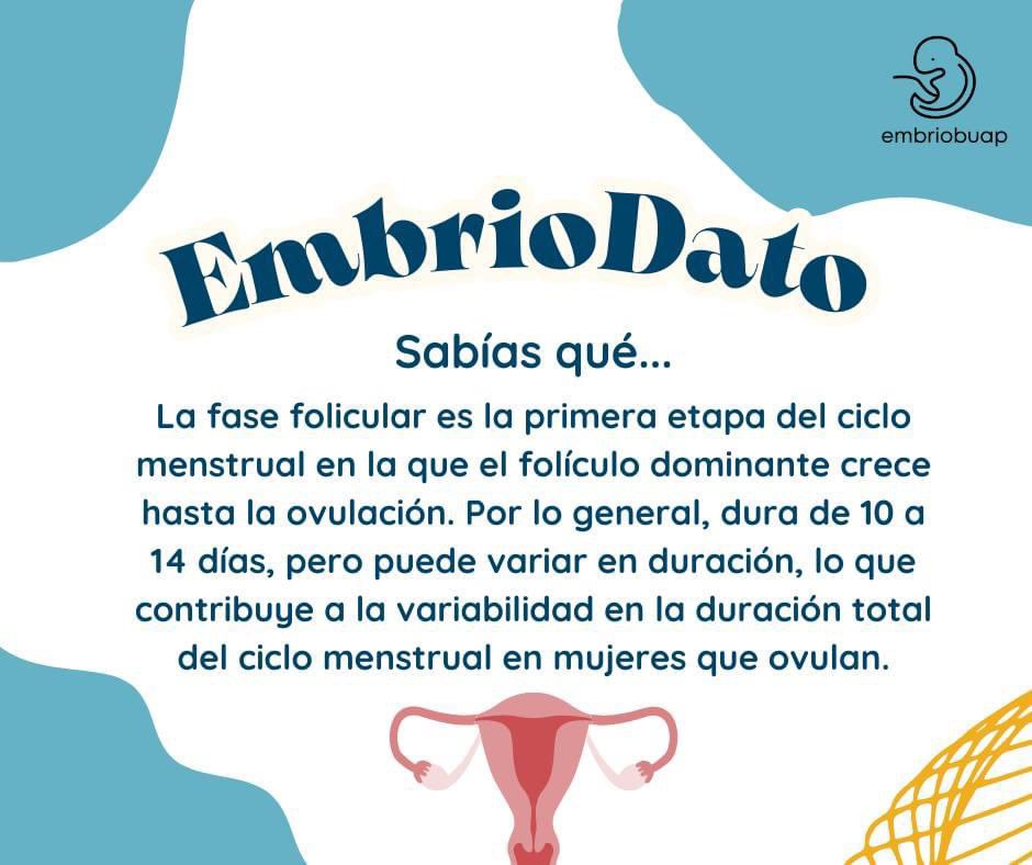 EmbrioBUAP's tweet photo. Ya sabes ahora una de las razones de la variabilidad del ciclo menstrual 🤓
.
.
.
.
.
.

#laboratorio
#embriodato, #embriobuap, #ciclosexualfemenino,#laboratorio https://t.co/Wn4t95VXdE