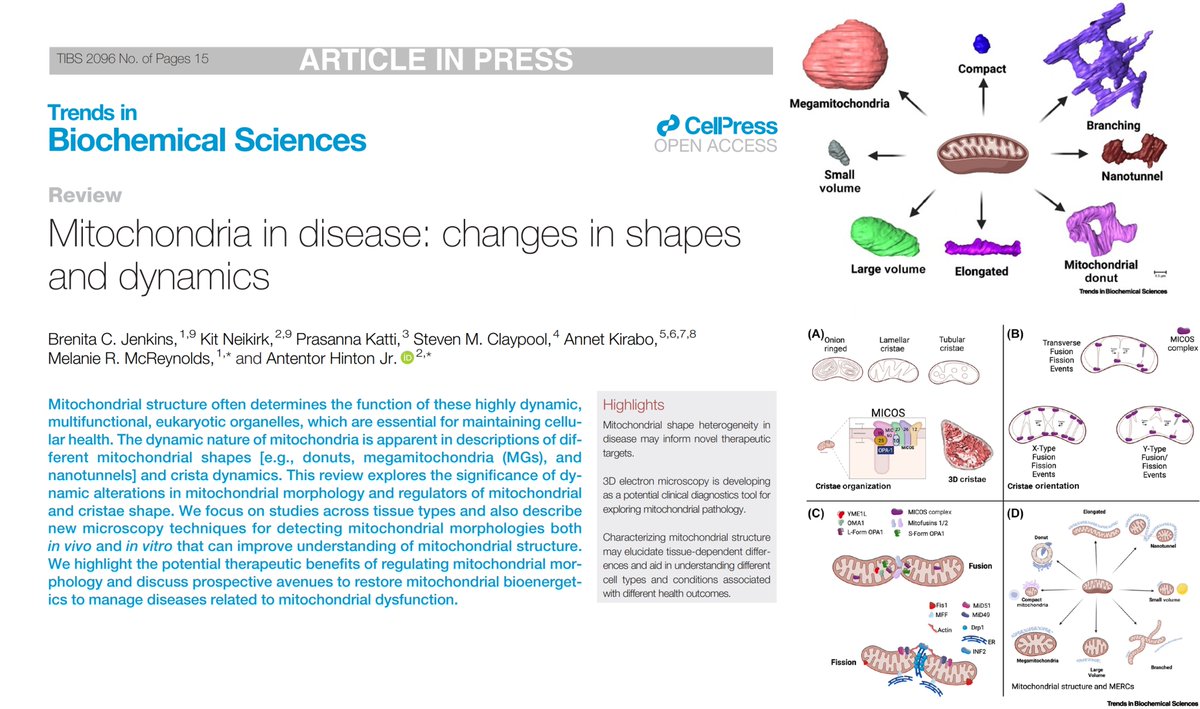 Antentor Othrell Hinton, Jr PhD (A.J. Hinton) tweet media