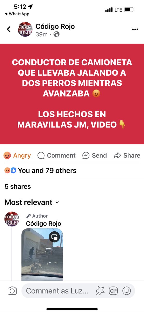 justsayingokey's tweet photo. @JLMNoticias hasta cuando seremos indiferentes y dejaremos impune a los que maltratan y abandonan a los animales, esto ya es imperdonable. https://t.co/HDfl2J7nuf