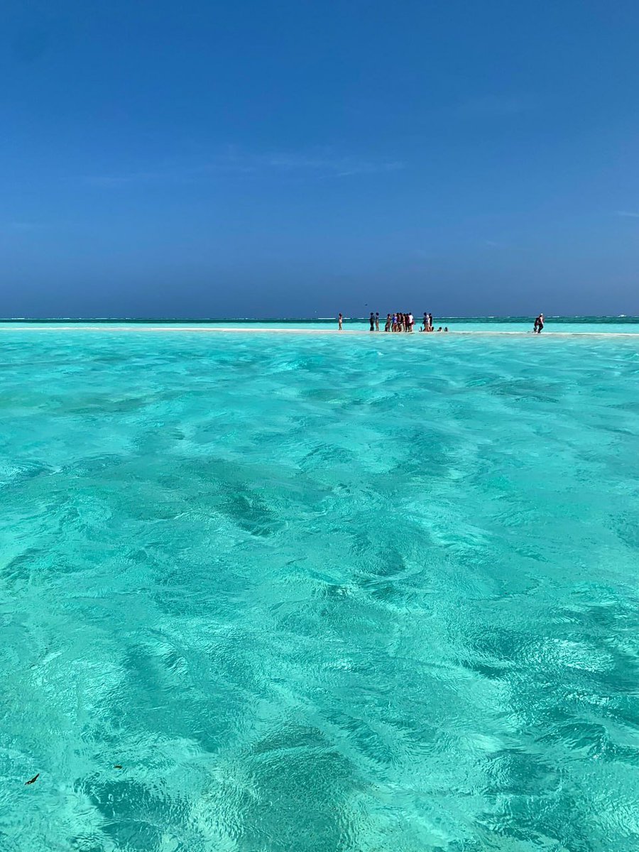 Cc6Lin's tweet image. 昼と夕陽です。🌇