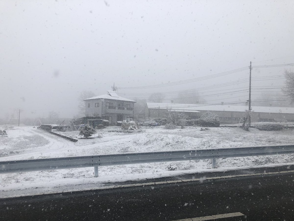 今の明野です。
雪が積もり始めました。
#明野
#雪が積もり始めました