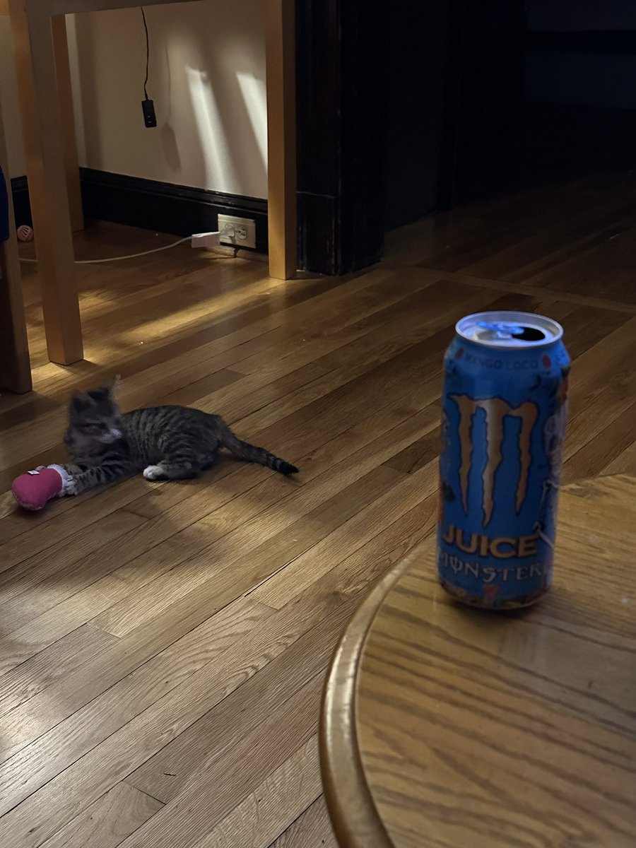 Vortexzz1's tweet image. Spot the Difference Game (Difficulty: Hard) Which one is Mango? 🧐