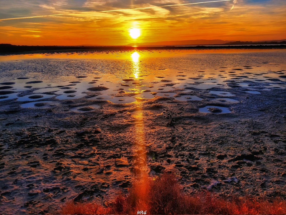 djilin34's tweet image. Je veux la mer,
Du soleil, de la chaleur,
Des couchers de soleil extraordinaire, 
Des couleurs,
Retrouver mes balades en solitaire, 
revenir à mon univers....
🌊💙🧜‍♀️🐚🐬
#Maldupays #MaMerPatrie