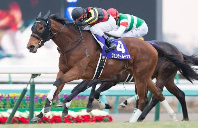 ジェンティルドンナ、原作通りのトモと胸筋。 