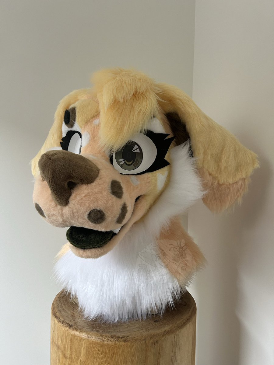 🌸 Trust the process 🌸