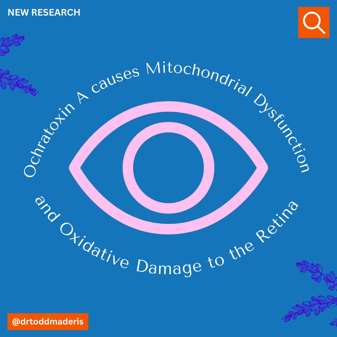 [NEW RESEARCH] Ochratoxin A causes Mitochondrial Dysfunction and Oxidative Damage to the Retina How do #mycotoxins from #mold exposure cause damage to cells, tissues, and organs? In a presentation I gave at a conference to colleagues last year, I emphasized mycotoxins cause…