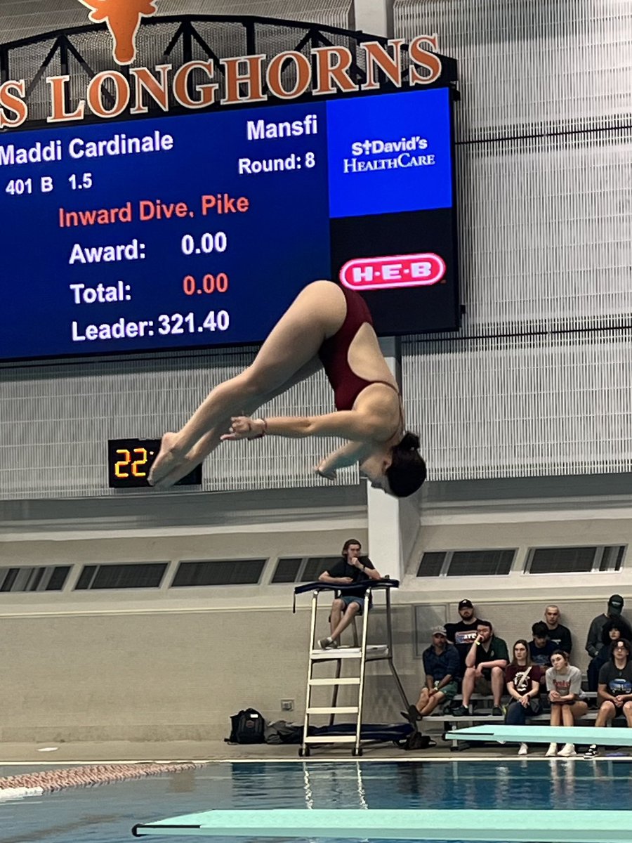 Timberview Swim & Dive tweet media