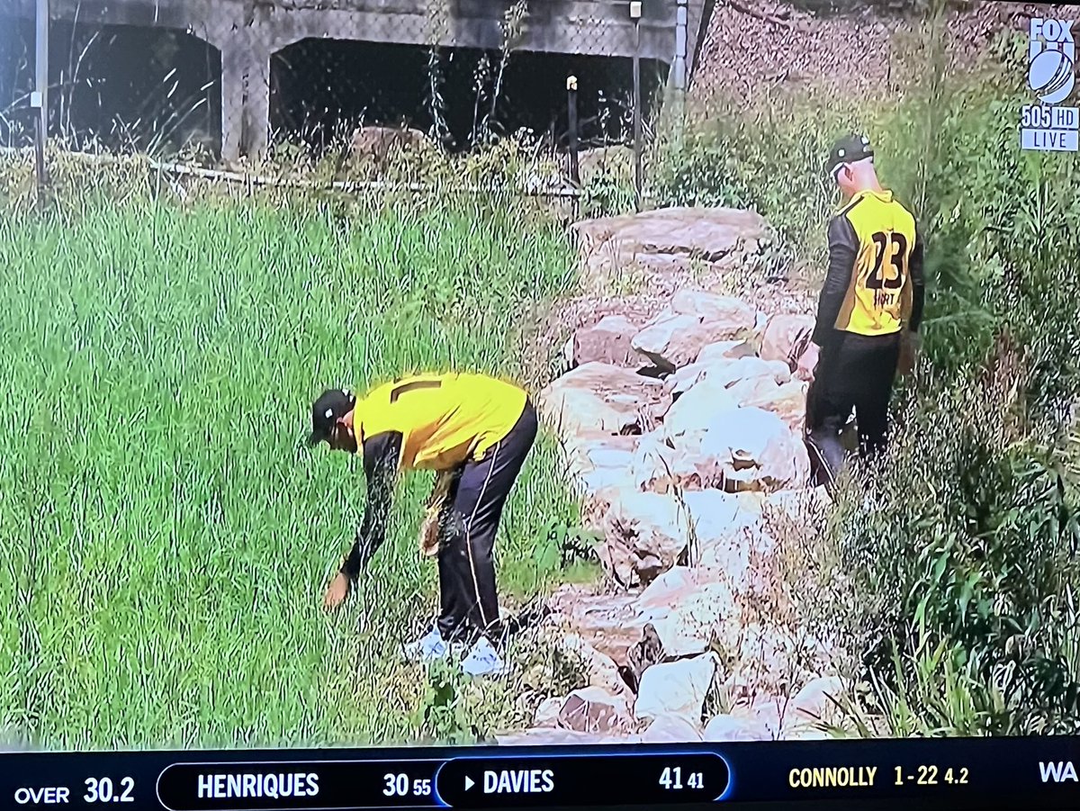 Daniel Davini tweet media