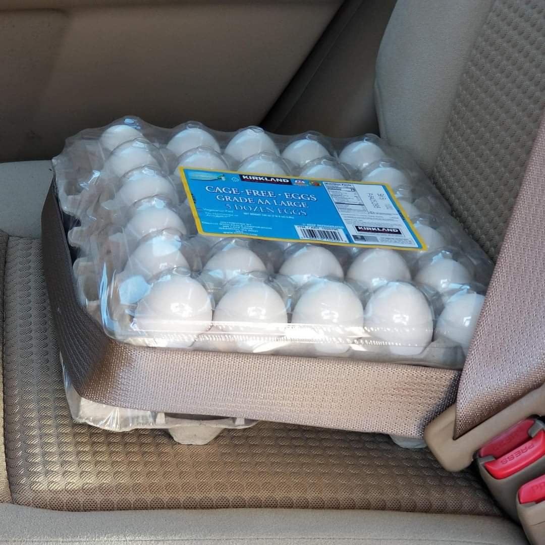 Betsy #CrankyPants🐈🐱 tweet media