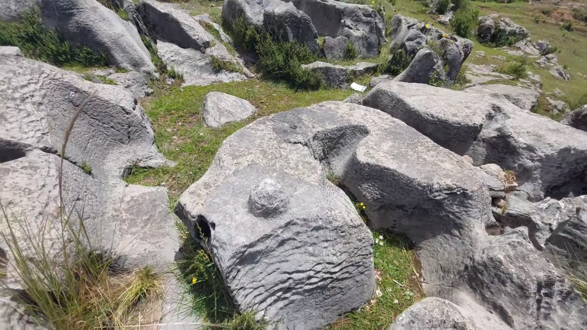 Ancient History Criticisms tweet media