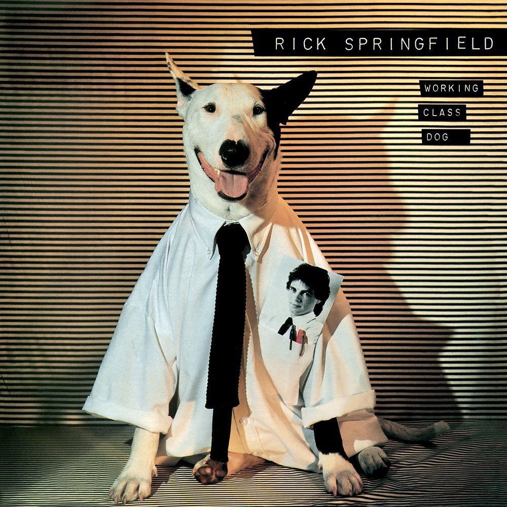 RetroNewsNow's tweet image. 🎶Rick Springfield released his fifth studio album 'Working Class Dog' 43 years ago, February 24, 1981
