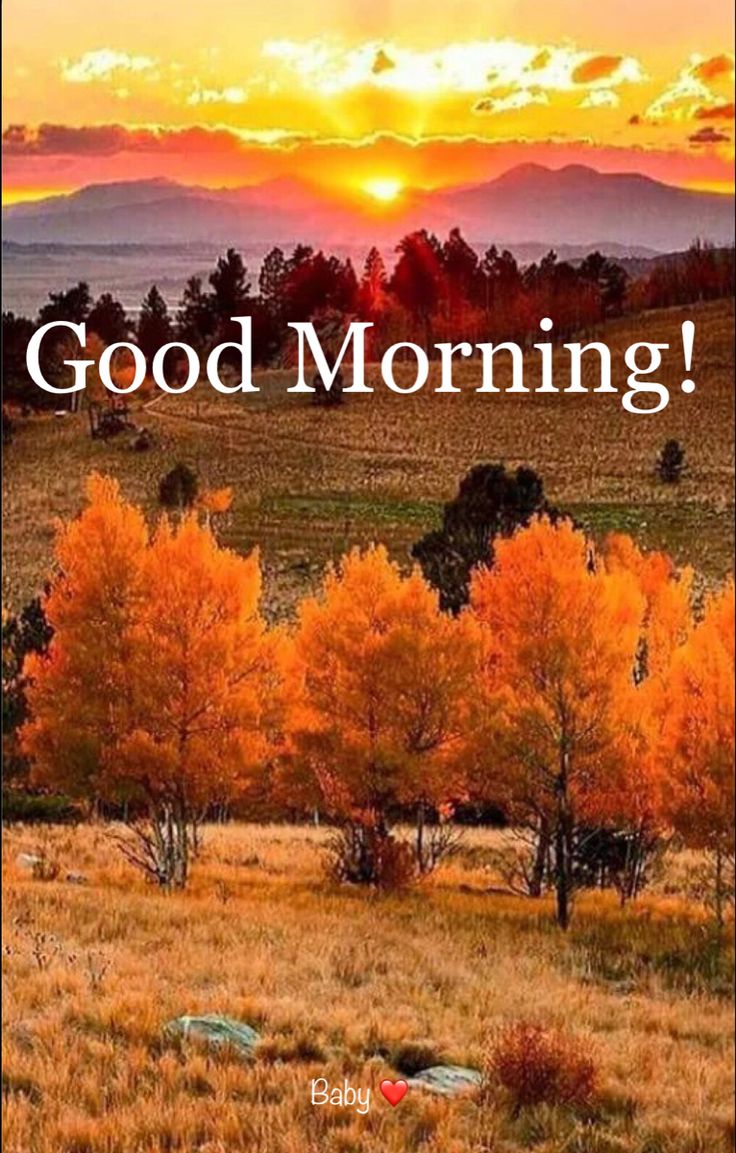 UmarSukhera96's tweet photo. 🥀🌹𝓖𝓸𝓸𝓭 𝓜𝓸𝓻𝓷𝓲𝓷𝓰  𝓱𝓪𝓿𝓮  𝓪  𝓷𝓲𝓬𝓮  𝓭𝓪𝔂  𝓪𝓵𝓵  𝔁   𝓾𝓼𝓮𝓻 ....♥️🎋☕ https://t.co/WnkVi0DKAz