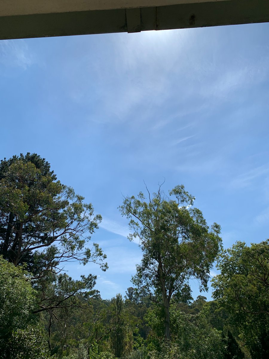 JacqOrca's tweet photo. 1/3  I don’t know much about this stuff but I took these photos a few minutes apart. It’s contrails right, so we checked flight radar. https://t.co/8XVvbNV1np