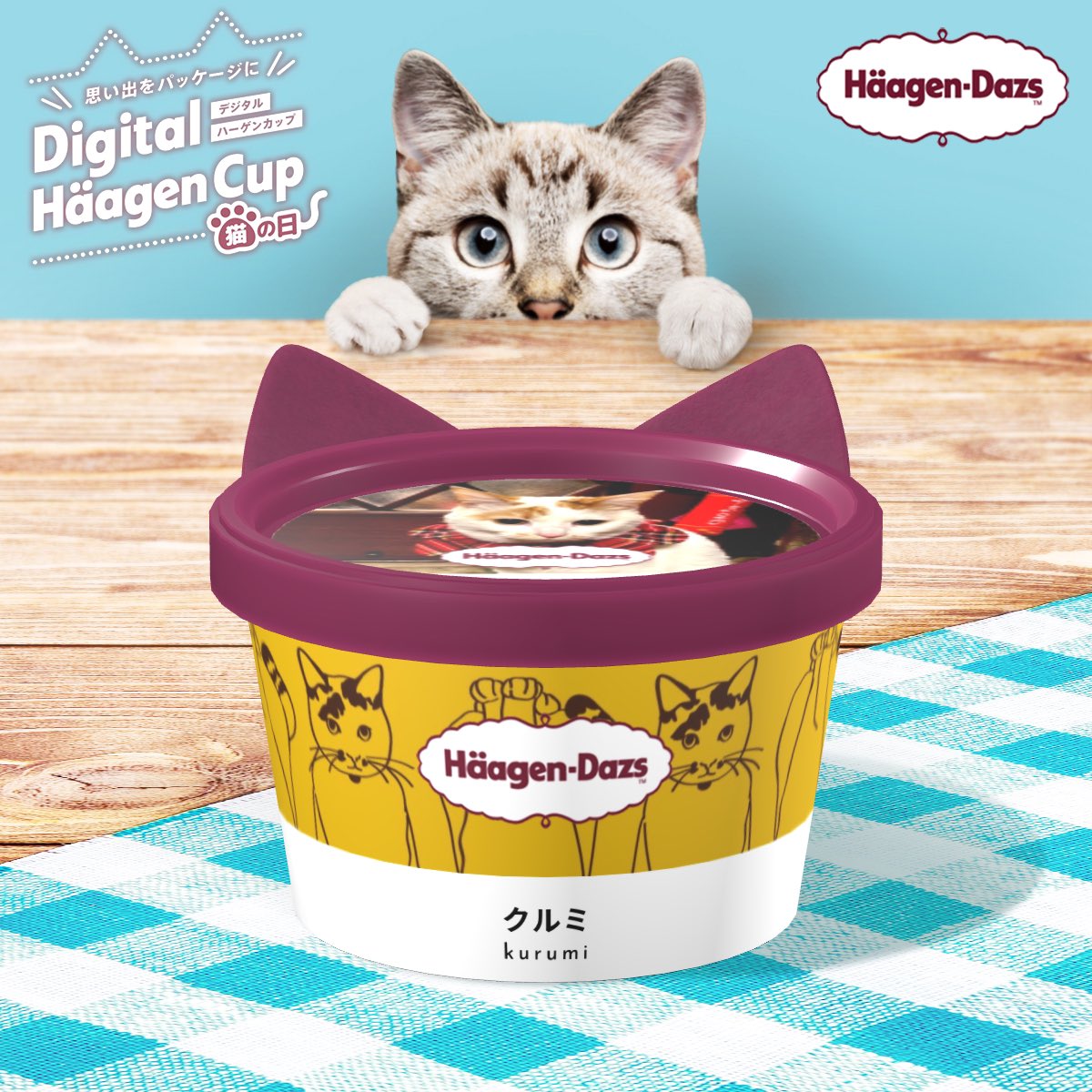 アイスににゃりました😽