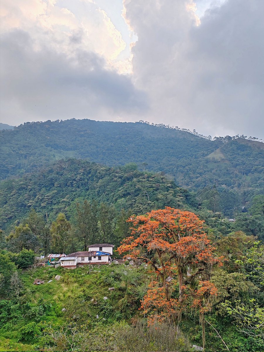 Un paraíso. #Chinacota #Colombia