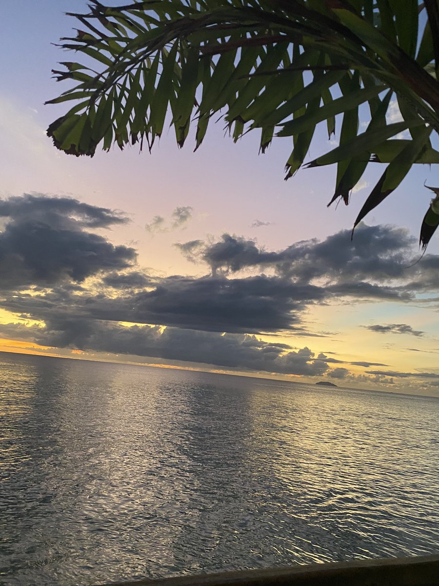 Halomari's tweet image. Playa 🏝️ #vida  #energia #agradecida