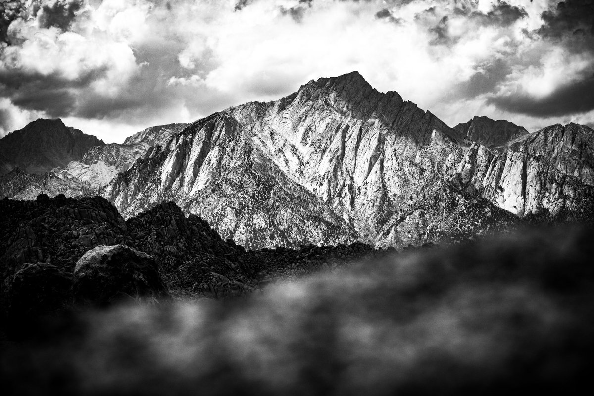 Evan Fraser Jr. tweet media