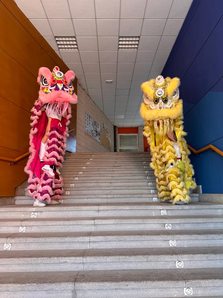 LowKey_21's tweet image. Creo que nunca había enseñado esto por Twitter pero aquí tengo algunas fotitos y vídeos de mis entrenos y actuaciones por si a alguien le interesa verlo.

Alguna vez han visto a un canario bailando león chino?👀👹