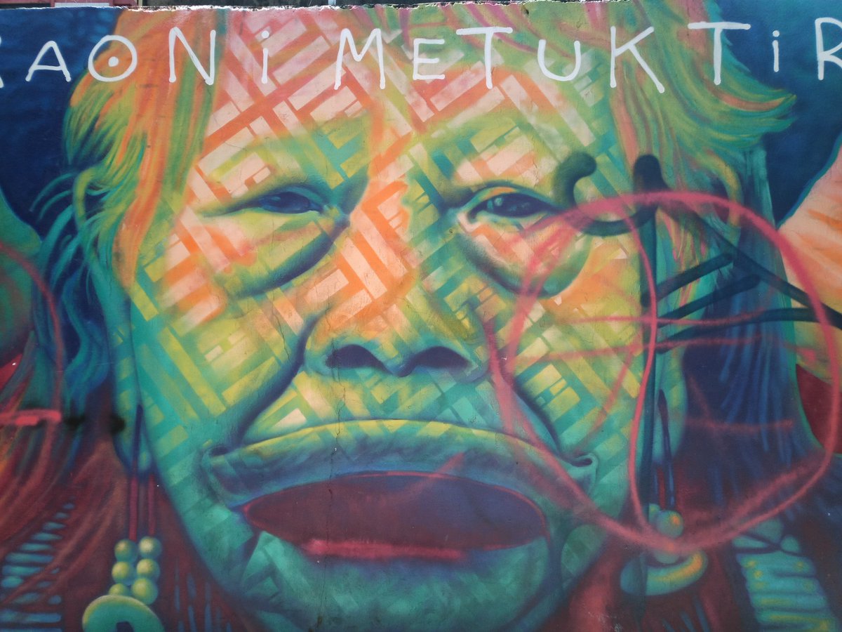 maciopara's tweet photo. #streetart #Amazonas #Brazil #caciqueraoni https://t.co/k67LgSBrCW