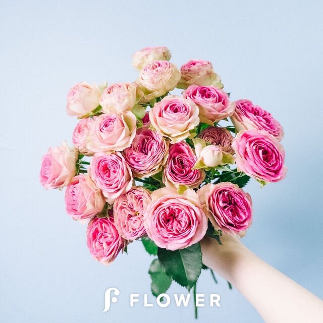 「去年からずっと買い逃してたバラ、ようやく買えた!FLOWER|たっぷりの花を、驚」|かねみのイラスト