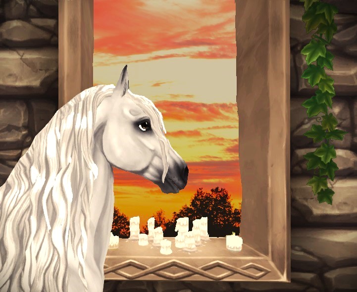 Staring into the sunset, as we remember how far we've come <3

#SSO #SSOEdits #VirtualPhotography #StarStable #Horsegame #FriesianHorse #SSOphotography #StarStablePhotos