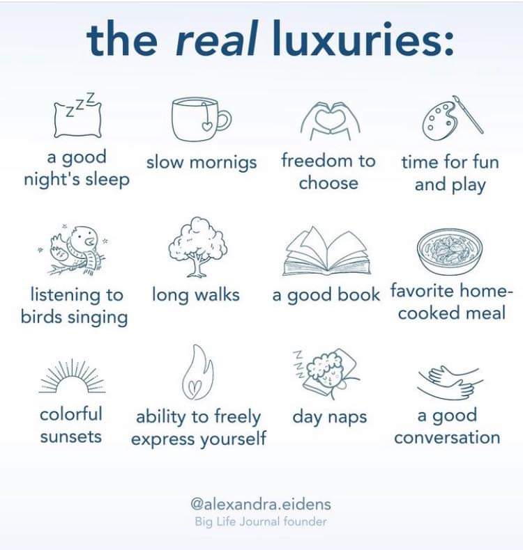 DapperCub's tweet image. 