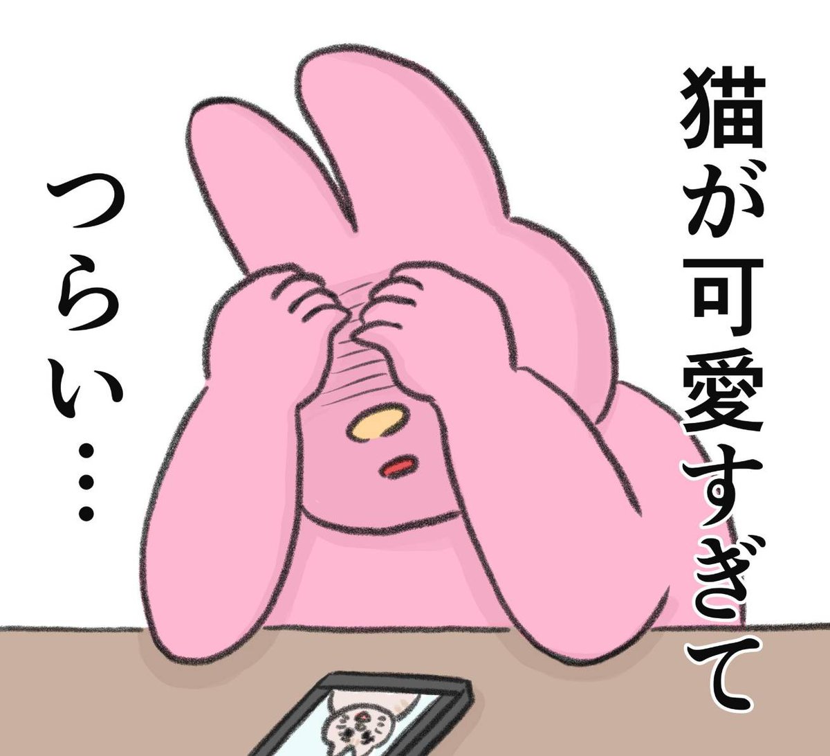 猫が可愛いから生きる 