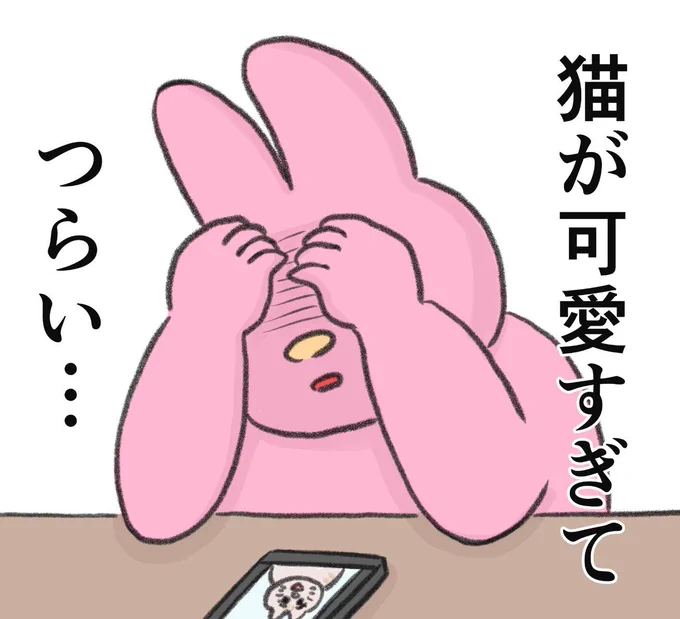 猫が可愛いから生きる 