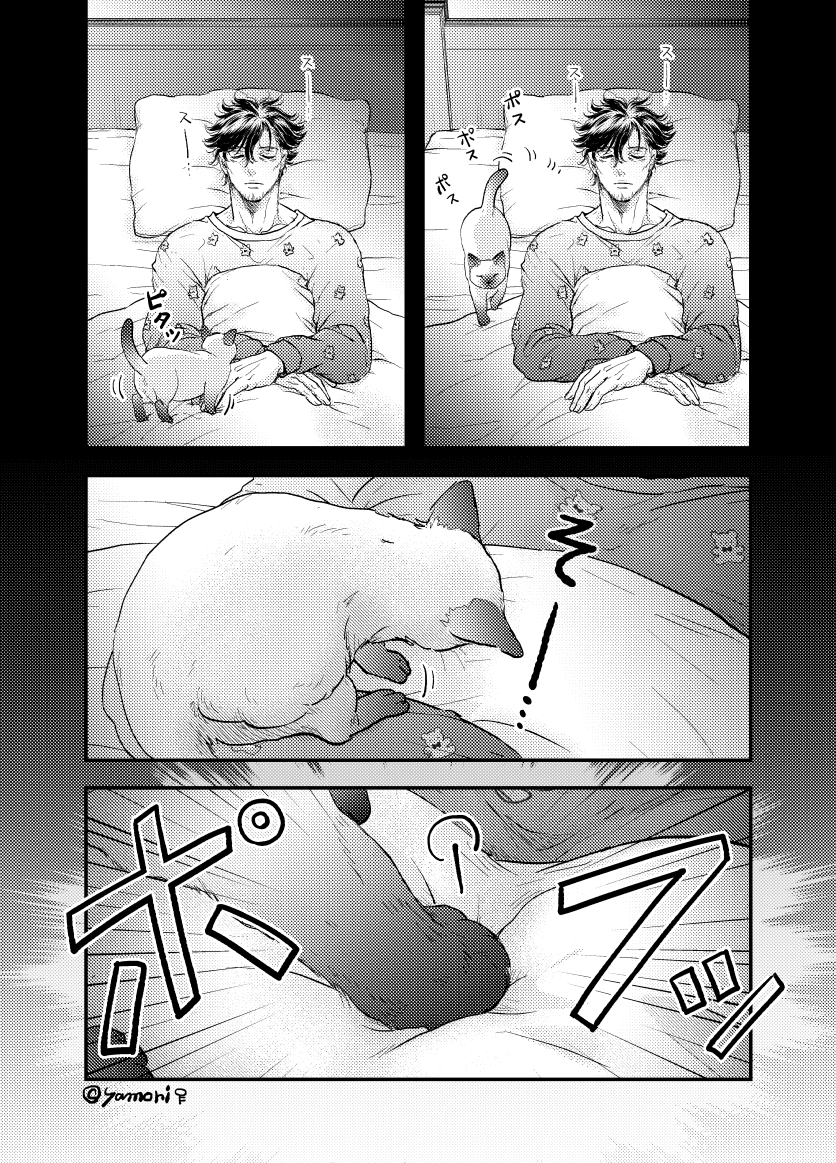 優しそうなおじさんに拾われた子猫の話③ 
(2～3P/4P)
#創作 