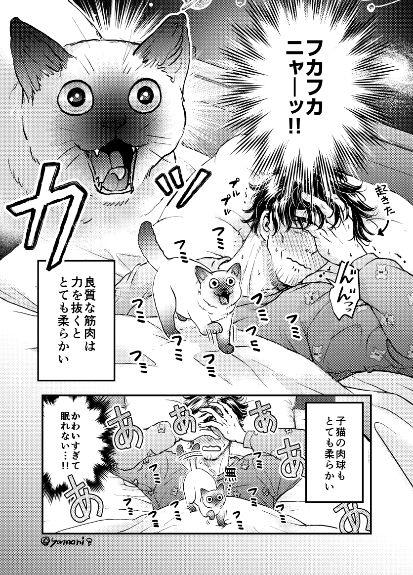 優しそうなおじさんに拾われた子猫の話③ 
(2～3P/4P)
#創作 