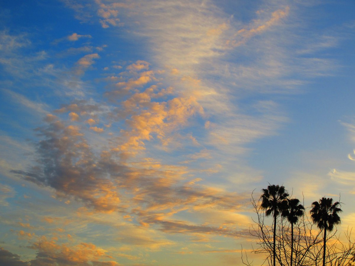 KenslowMatthew's tweet photo. Amazing cirroform cloudscapes this evening.
February 24, 2024
#cirrus #cirro #cirroform #clouds #cloud #cloudtypes #cloudscapes #stunning #weather #meteorology https://t.co/DndlTzAXFs