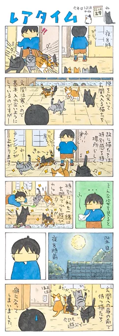 特別感│フェリシモ猫部 https://t.co/WfBmFnipUN 