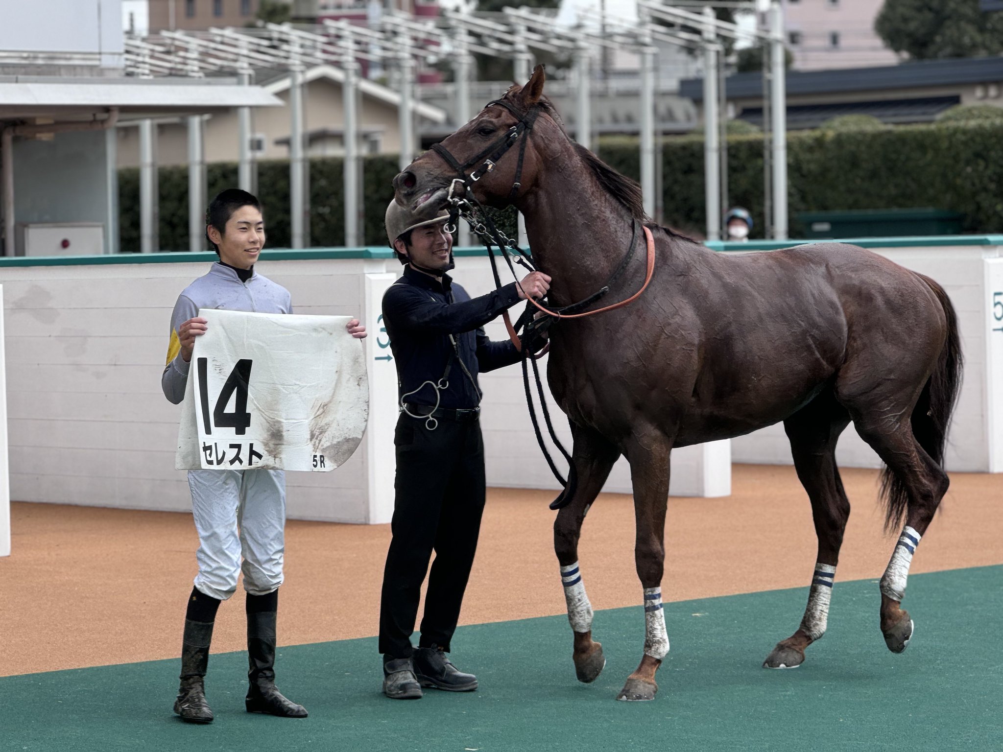 はせがわゆうじ　額　サイン無し 筆サイン 中字: 本体【公式】ZEBRAオンラインストア
